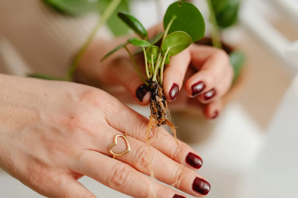 How to Make Your Manicure Last Longer: 15 Expert Tips 7 The 10 Most Dangerous DIY Nail Mistakes You re Making And How to Fix Them Before It s Too Late 8 1920x